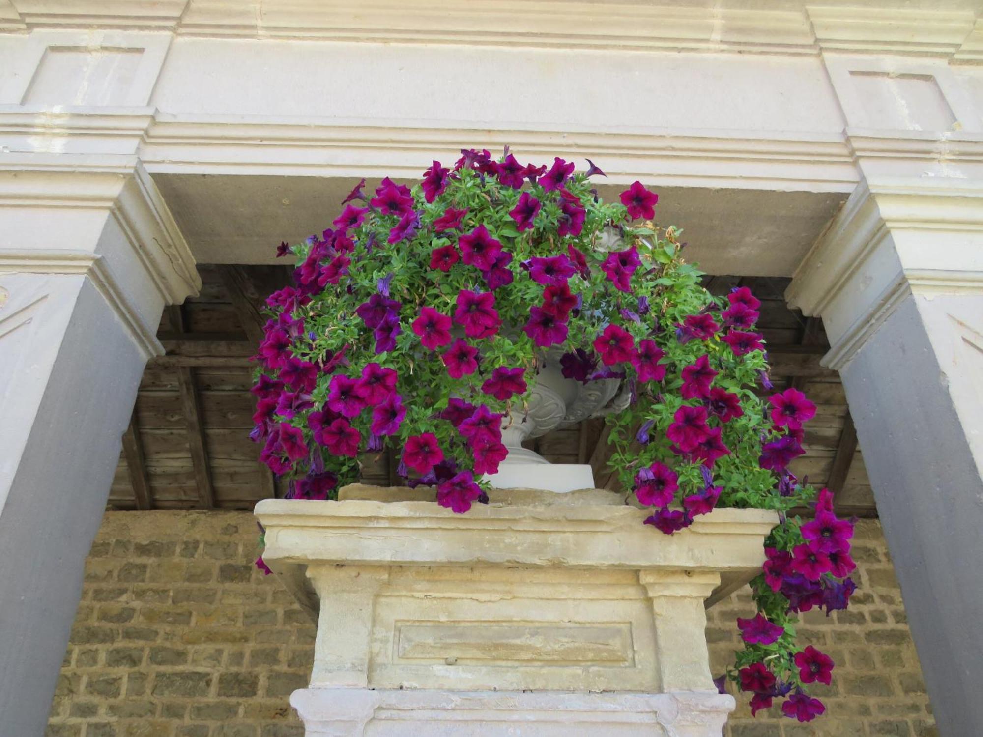 Grange D'Anjeux Bed & Breakfast Dış mekan fotoğraf